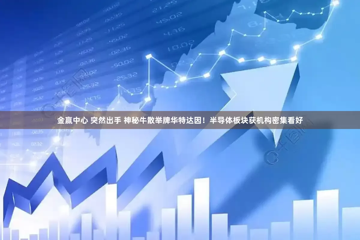 金赢中心 突然出手 神秘牛散举牌华特达因！半导体板块获机构密集看好