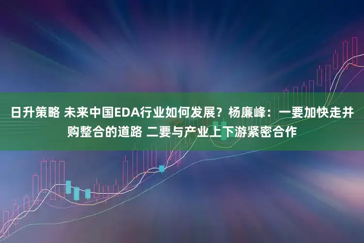 日升策略 未来中国EDA行业如何发展？杨廉峰：一要加快走并购整合的道路 二要与产业上下游紧密合作