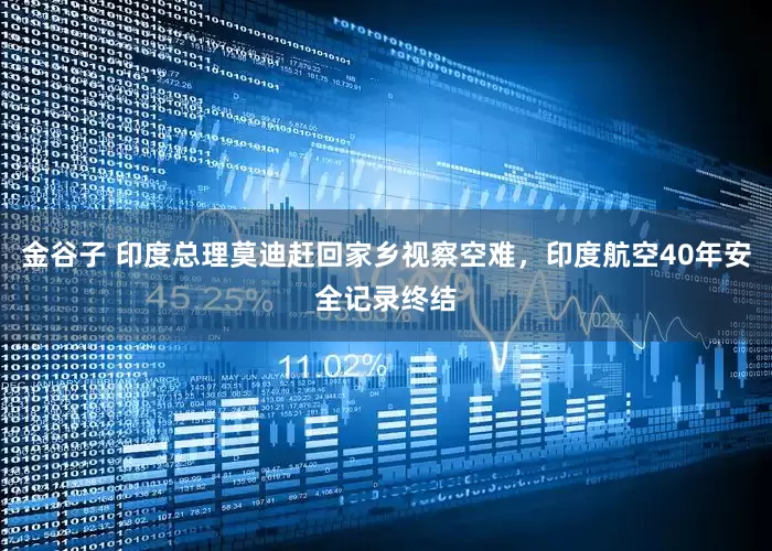 金谷子 印度总理莫迪赶回家乡视察空难，印度航空40年安全记录终结