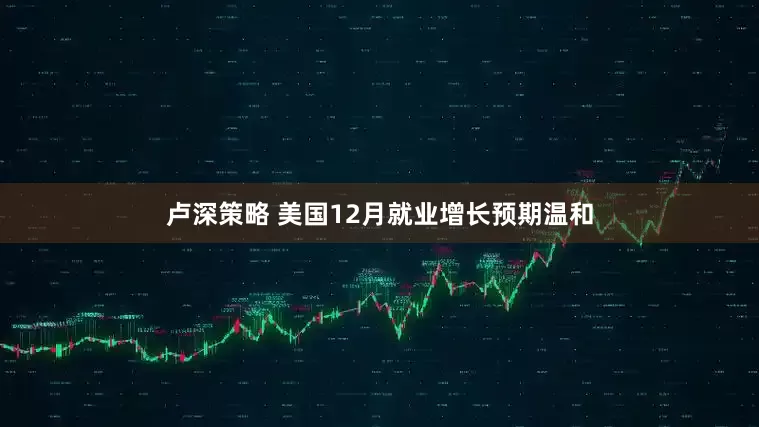 卢深策略 美国12月就业增长预期温和